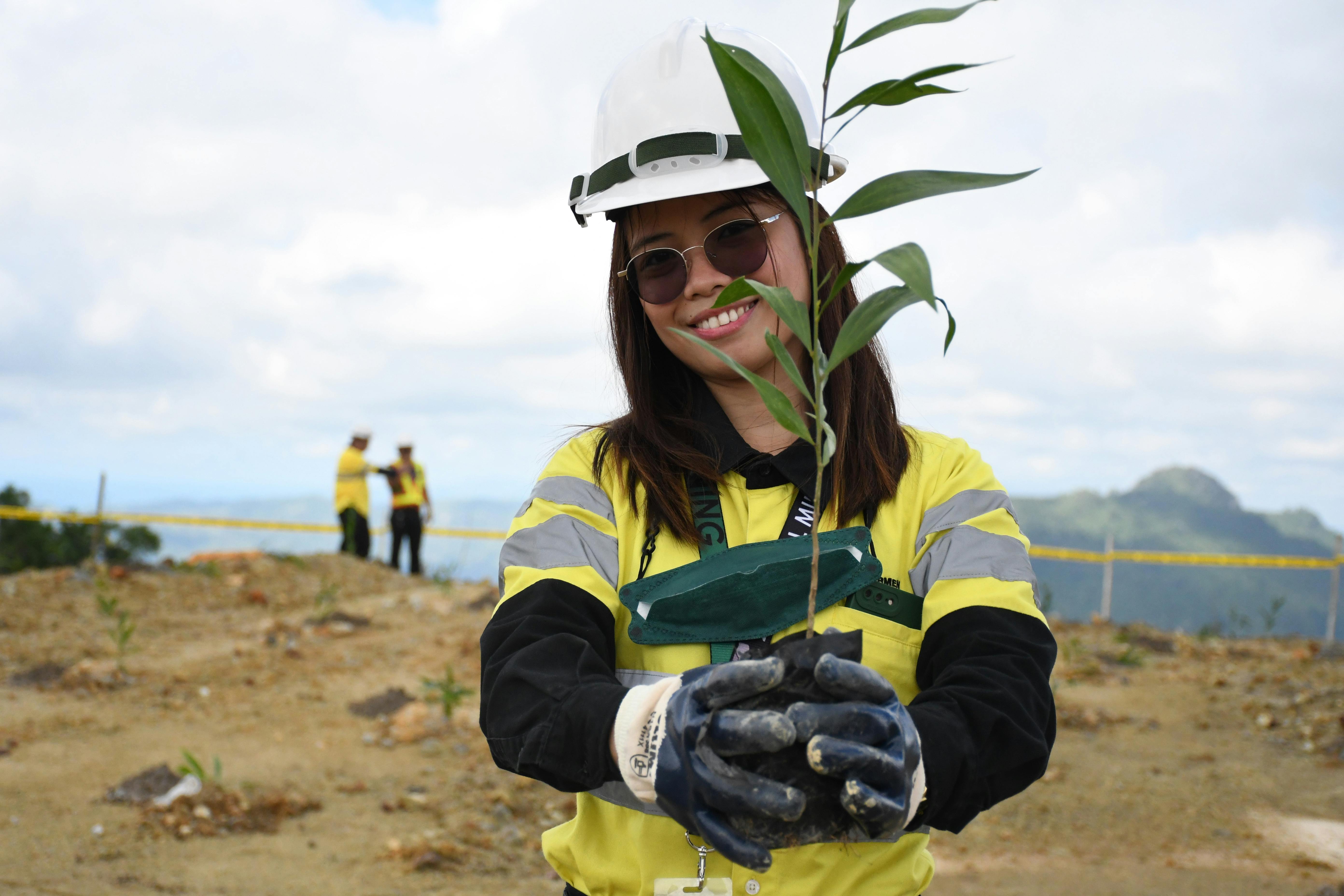 Reforestation