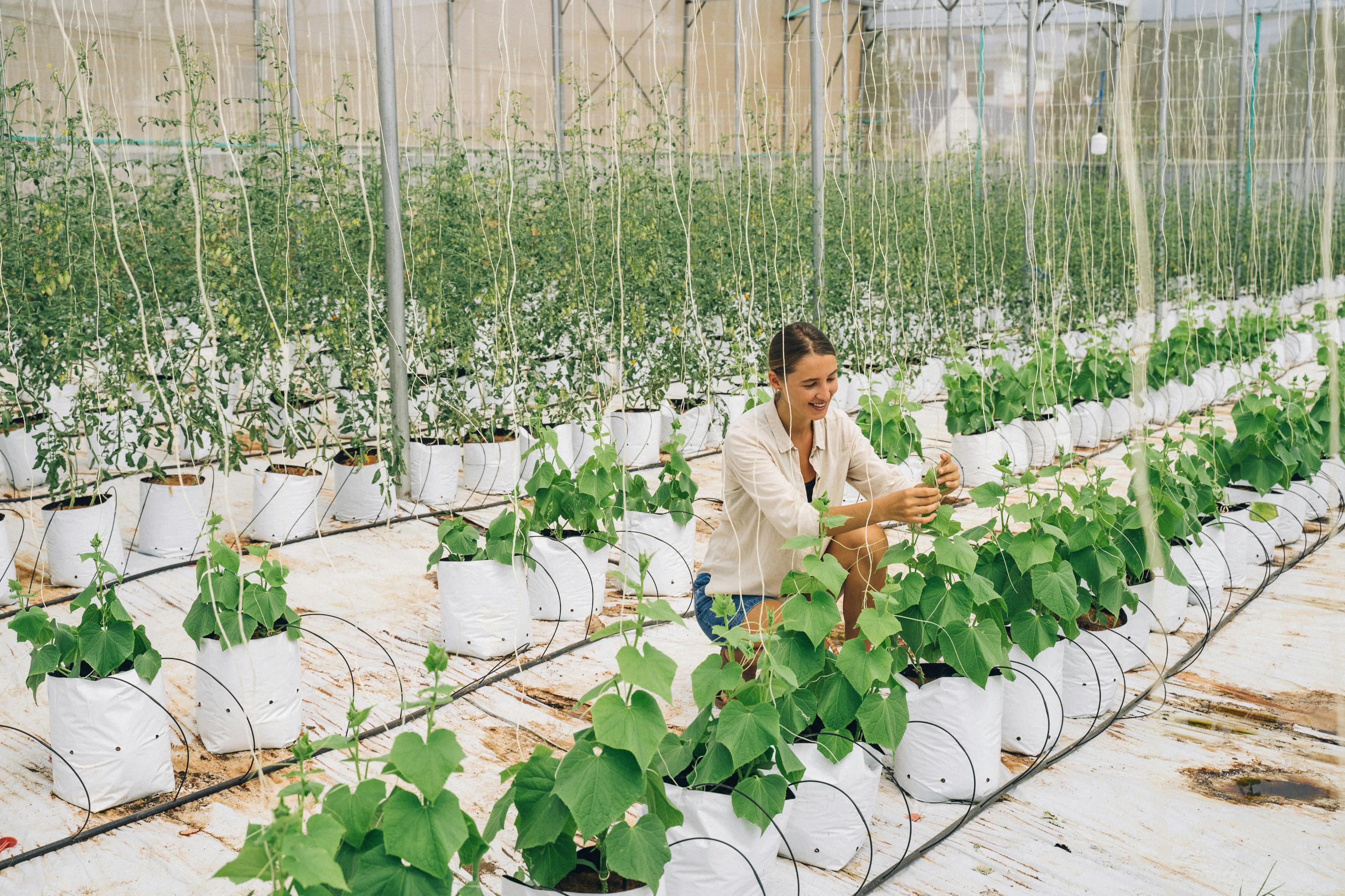 Agri-Tech Innovations